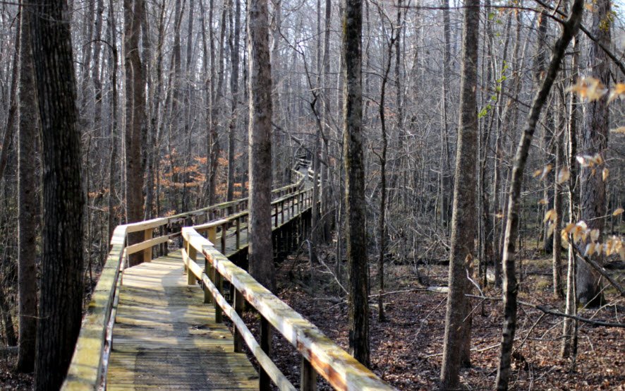 Big Hill Pond State Park, Tennessee, USA